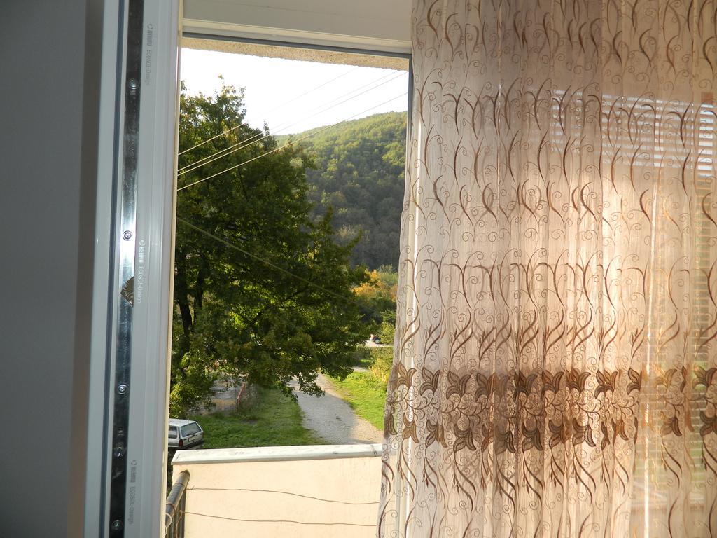 Apartman Sutjeska ティエンティシュテ エクステリア 写真